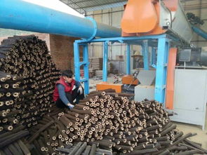 木炭机设备 长沙木炭机直销 全自动环保制炭机 木炭机加工技术