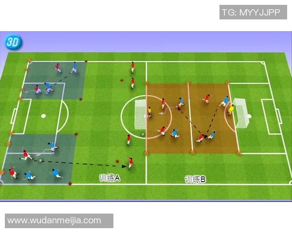 杭州足球队战术解析：从阵型到执行的全面剖析与展望